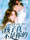 离婚半年才怀,贺总,孩子真不是你的
